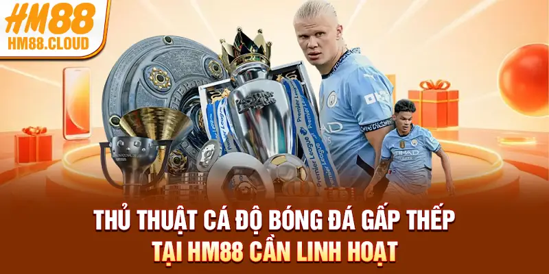 Thủ thuật cá độ bóng đá gấp thếp tại HM88 cần linh hoạt